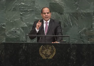 Portrait de (titres de civilité + nom) Son Excellence Abdel Fattah Al Sisi (Président), Égypte Portrait de (titres de civilité + nom) Son Excellence Abdel Fattah Al Sisi (Président), Égypte